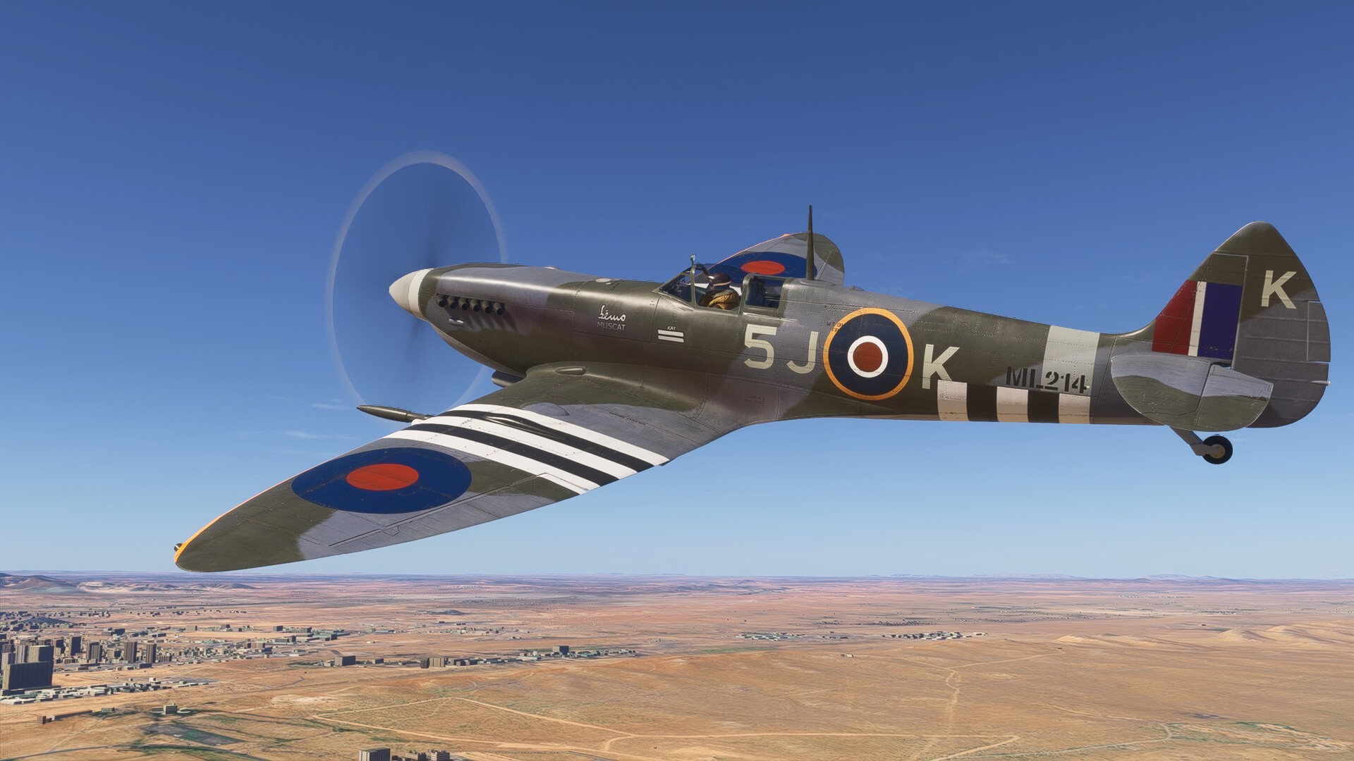 9957.jpg