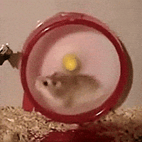 https://zupimages.net/up/26/28/l5i4.gif