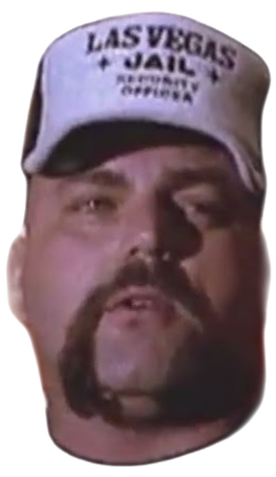https://zupimages.net/up/26/29/piqx.png
