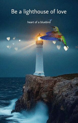 https://zupimages.net/up/26/29/t02t.gif