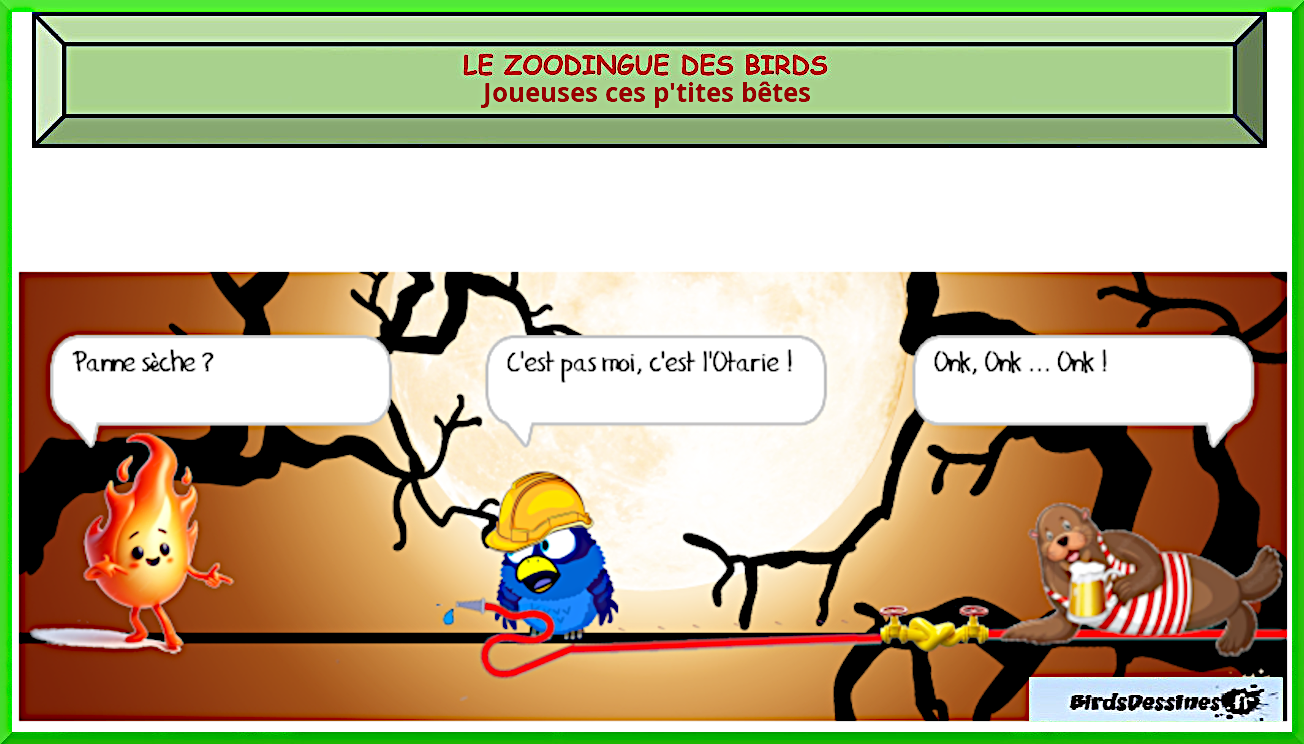 Tuyau d'Arosage promotion Persée