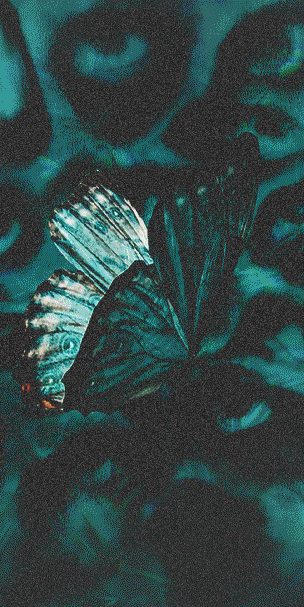 [Avatar]