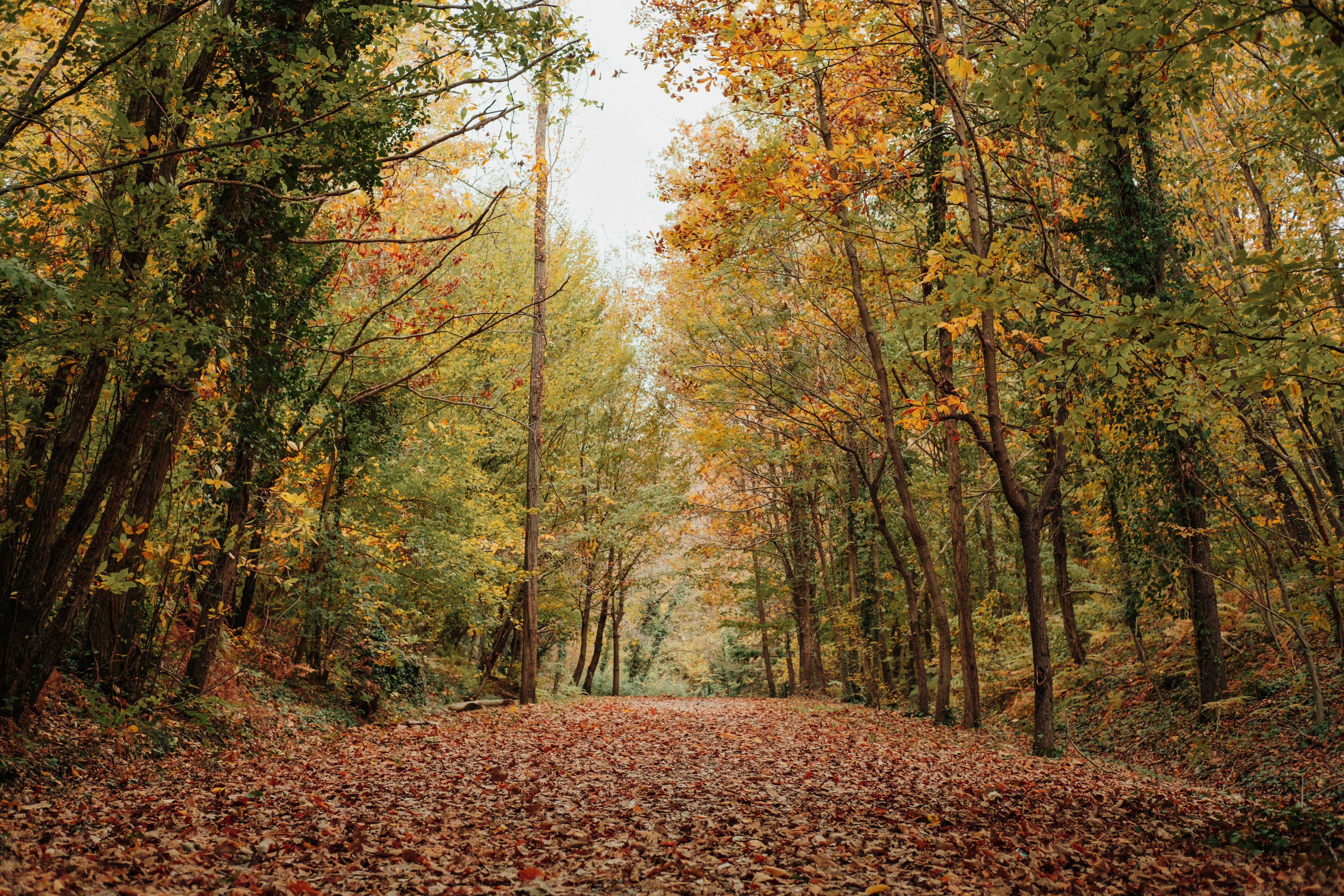 Bois de Vincennes, Paris 12th district