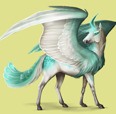 6j4r.png
