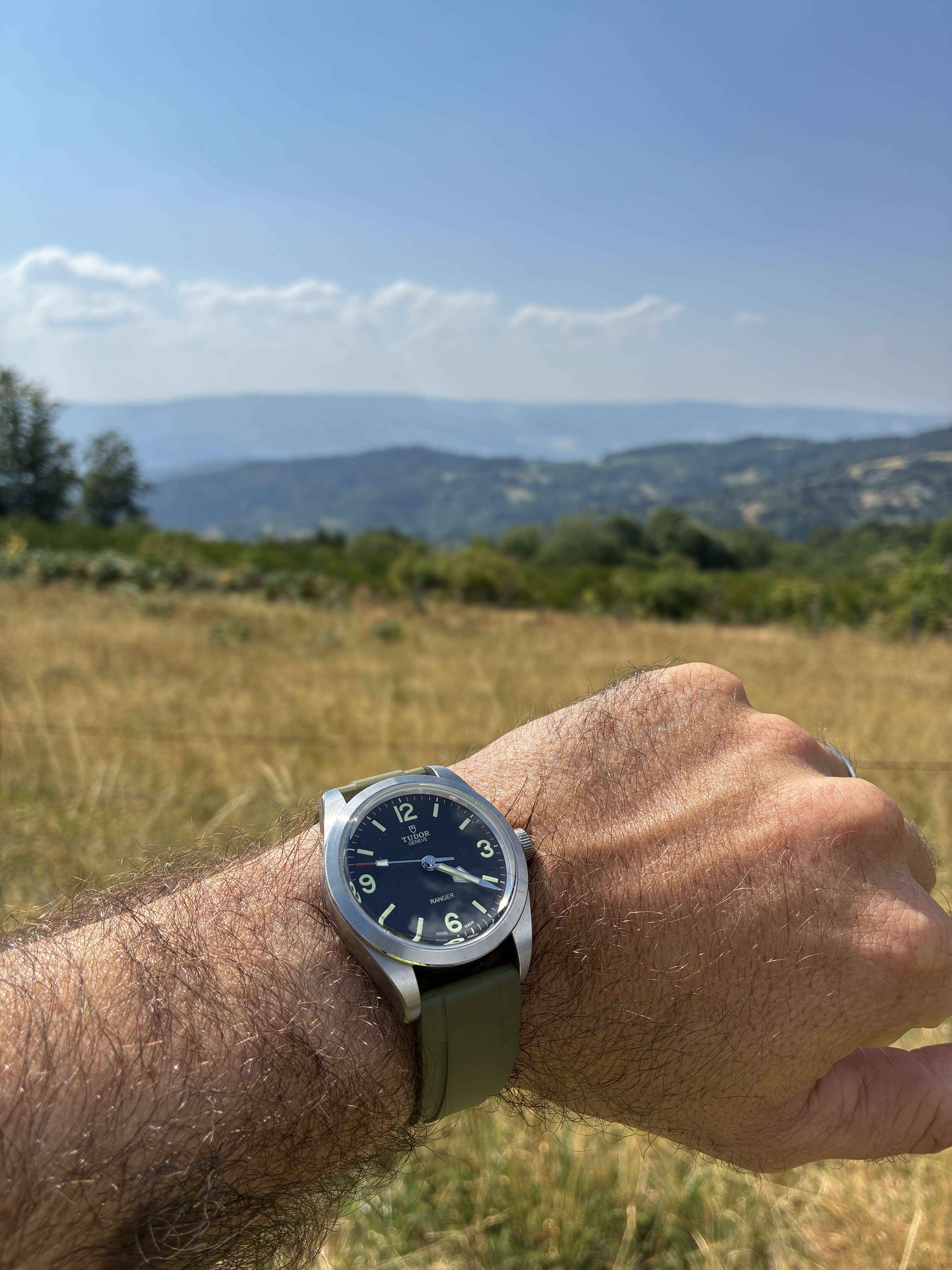 Tudor Ranger version 2022 : infos, questions et liens - Page 38 Hcle
