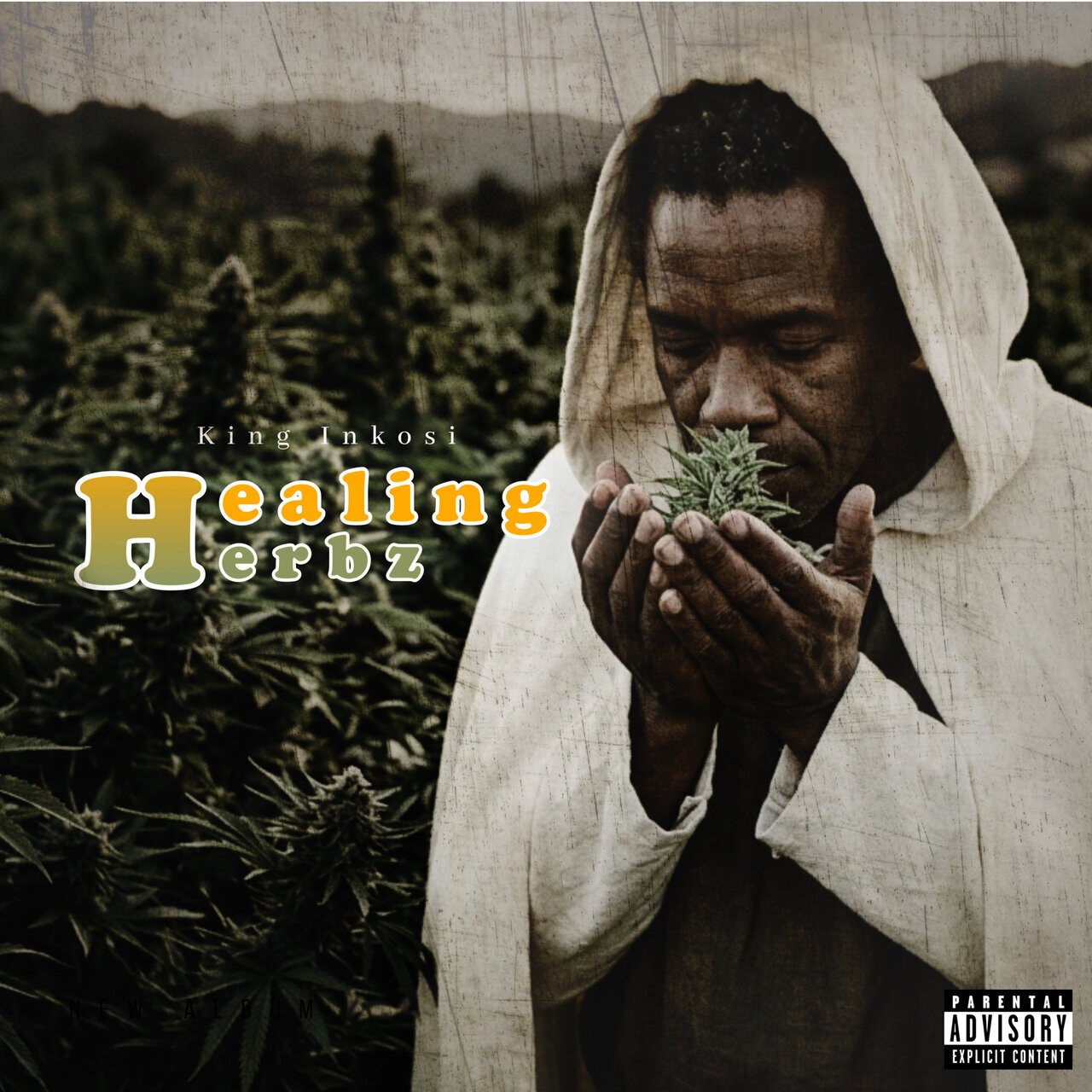 King Inkosi - Healing Herbz (King Inkosi Music) 2026