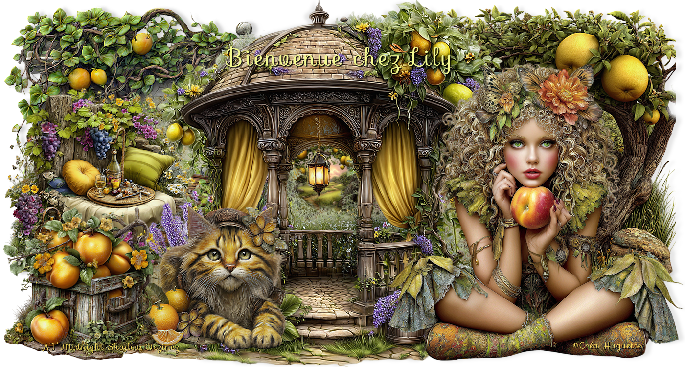 LE JARDIN DES FEERIES