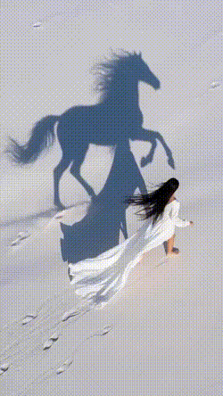 https://zupimages.net/up/26/33/1noc.gif