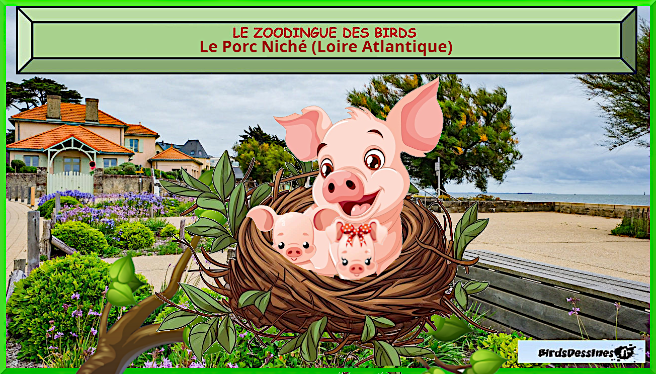 Porc Niché