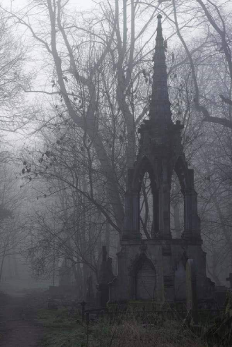 "Les ruines de Ceux qui nous ont Précédés" Sally Väytkä, 2019 (Photographie Développée, Musée des Arts Photographiques de Tassel) "Les ruines de Ceux qui nous ont Précédés" Sally Väytkä, 2019 (Photographie Développée, Musée des Arts Photographiques de Tassel)