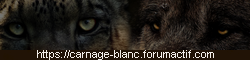 Carnage Blanc