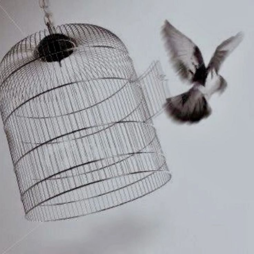 "Et tu seras libre..." Sally Väytkä, 2020 (Construction, Musée des Arts Photographiques de Tassel) "Et tu seras libre..." Sally Väytkä, 2020 (Construction, Musée des Arts Photographiques de Tassel)