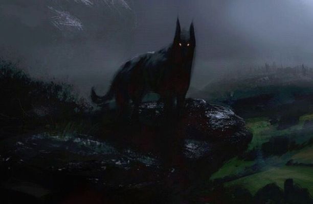 le chien