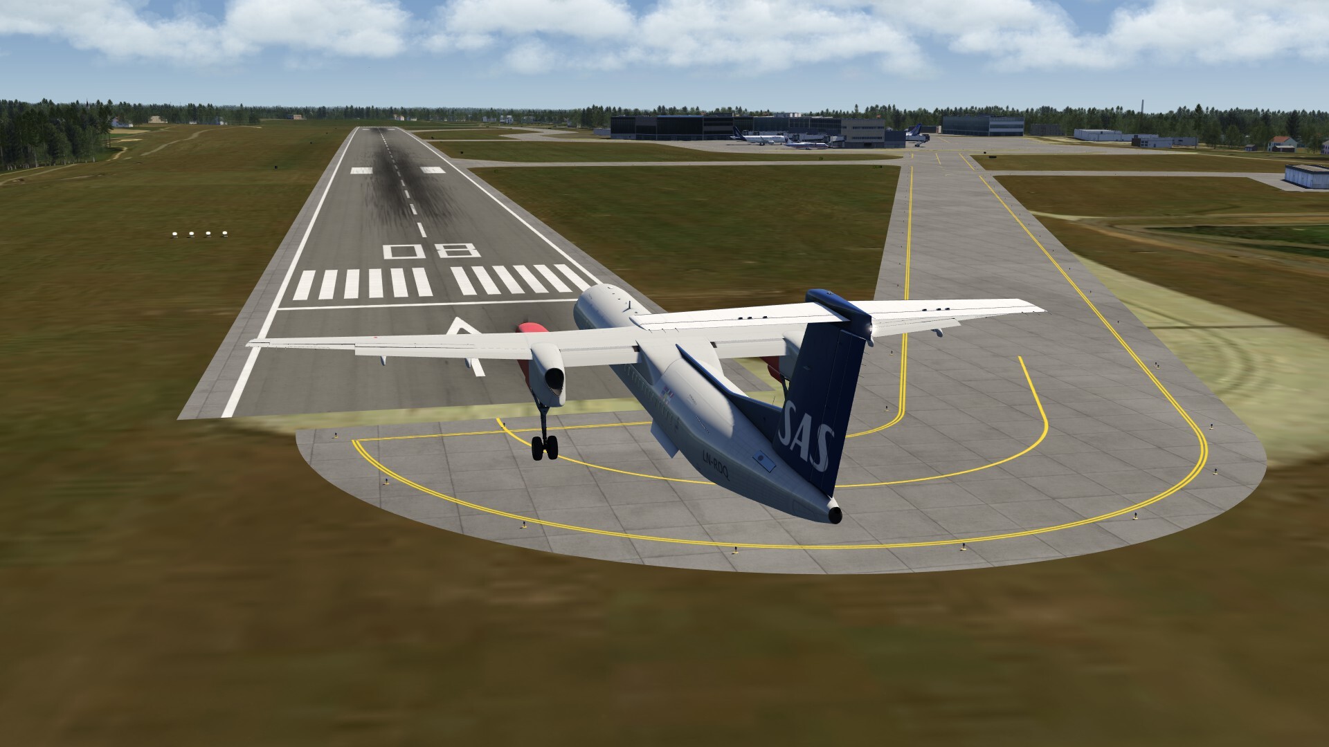 dk20.jpg