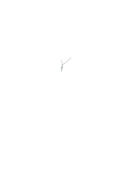 https://zupimages.net/up/26/38/9lu2.png