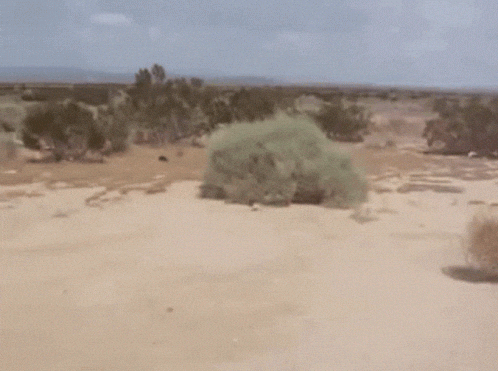 https://zupimages.net/up/26/38/k4ps.gif