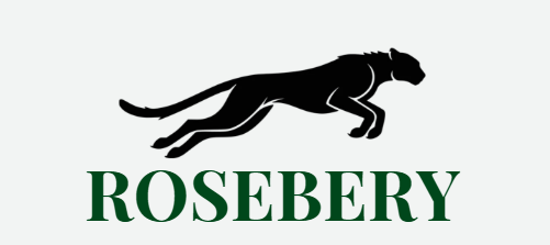 ROSEBERY MOTORS