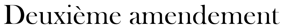 Deuxième Amendement