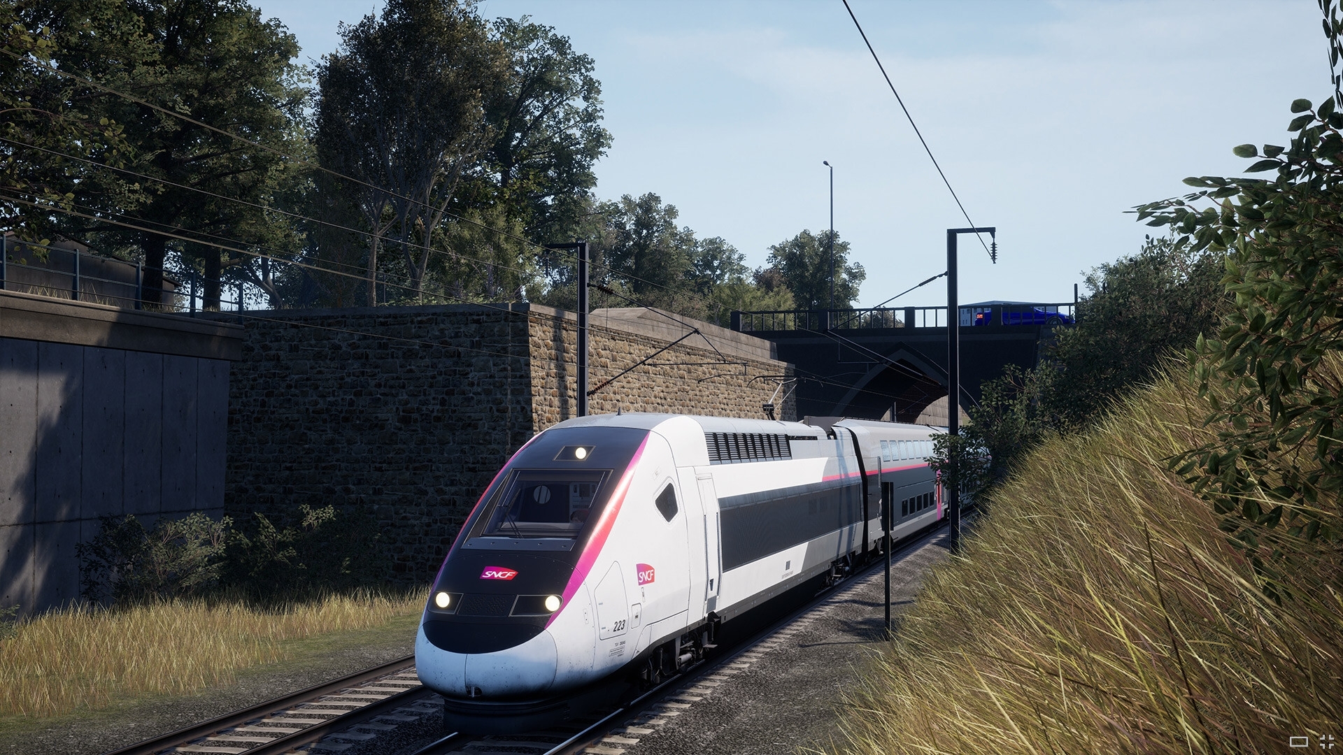 npxl.jpg