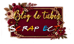 Blog de Tubes