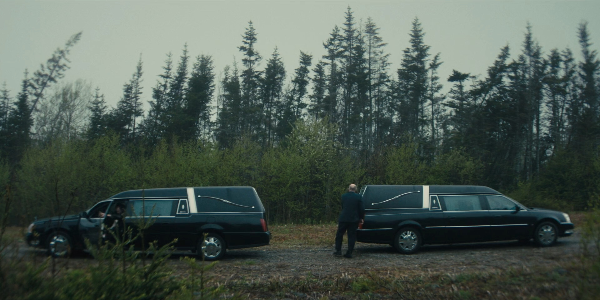 t3p6.jpg