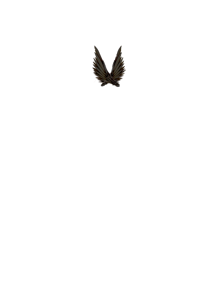https://zupimages.net/up/26/38/y6su.png