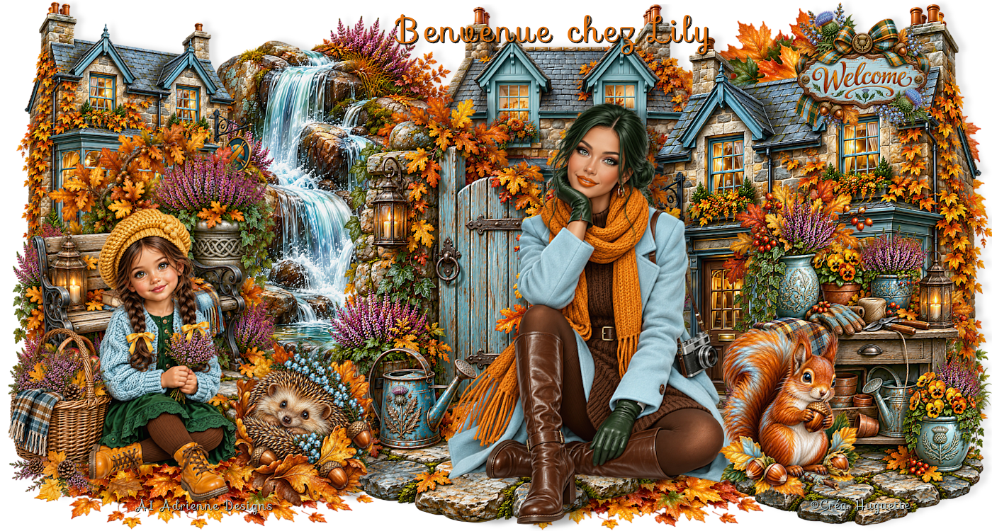 LE JARDIN DES FEERIES