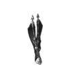 https://zupimages.net/up/26/40/cpbn.png