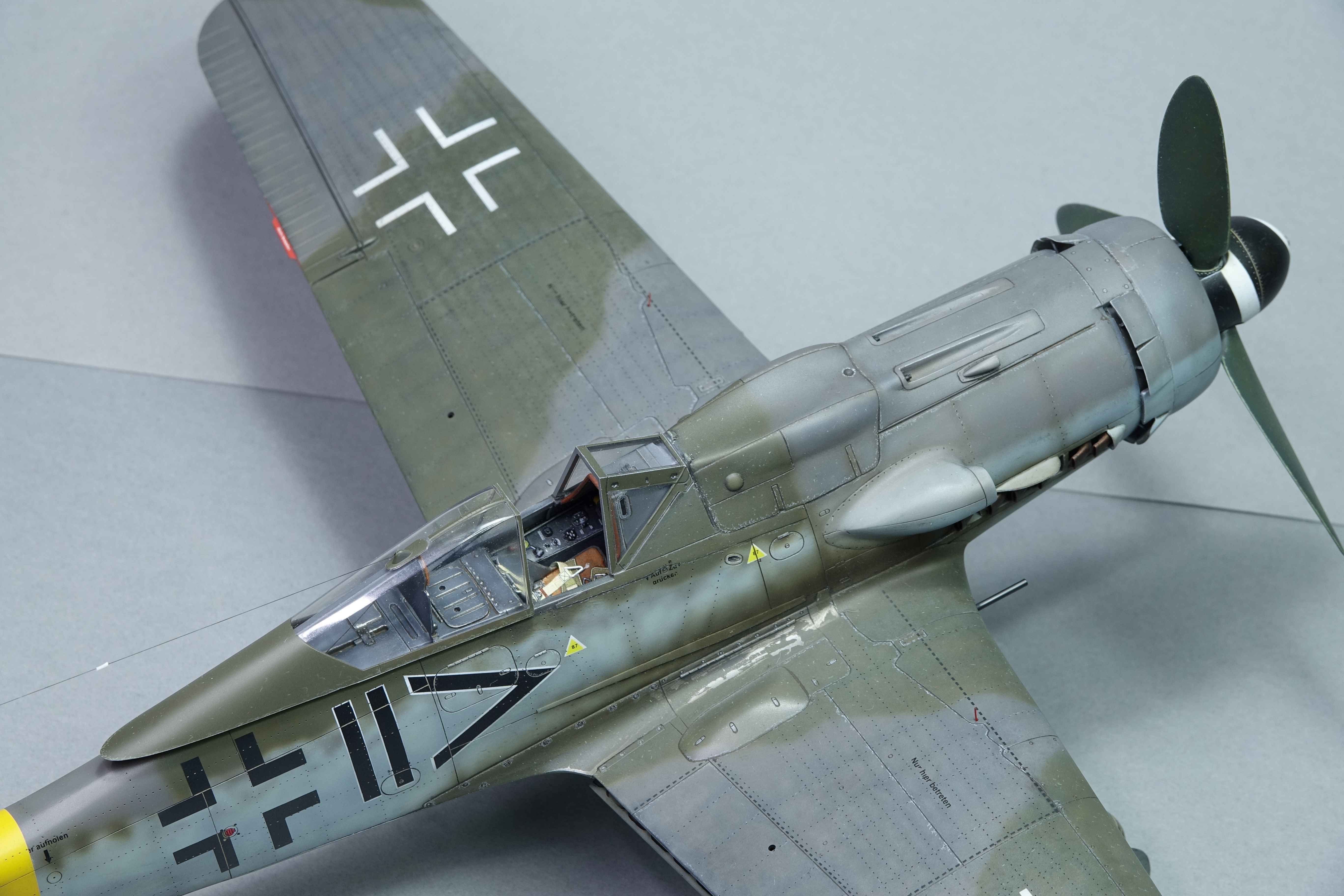 f6z9.jpg