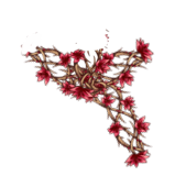 https://zupimages.net/up/26/42/45ke.png
