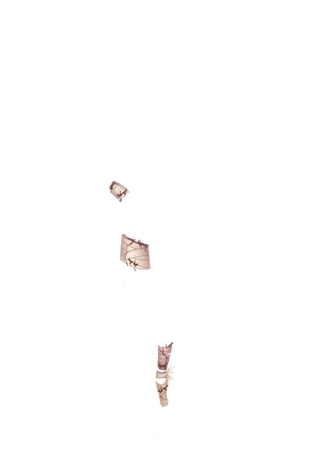 https://zupimages.net/up/26/42/6ouv.png