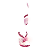 https://zupimages.net/up/26/42/iil3.png