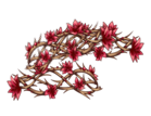 https://zupimages.net/up/26/42/tdmw.png
