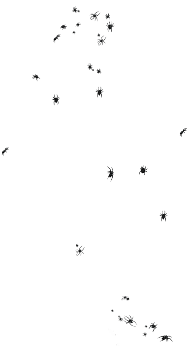 https://zupimages.net/up/26/42/x1kb.png