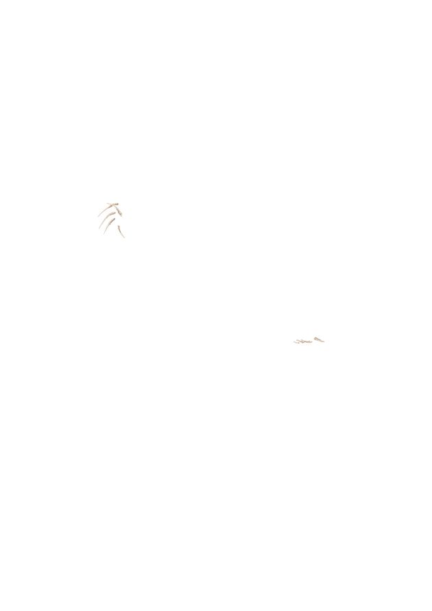 https://zupimages.net/up/26/43/0ilg.png