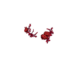 https://zupimages.net/up/26/43/es4f.png