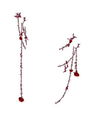https://zupimages.net/up/26/43/rmdd.png