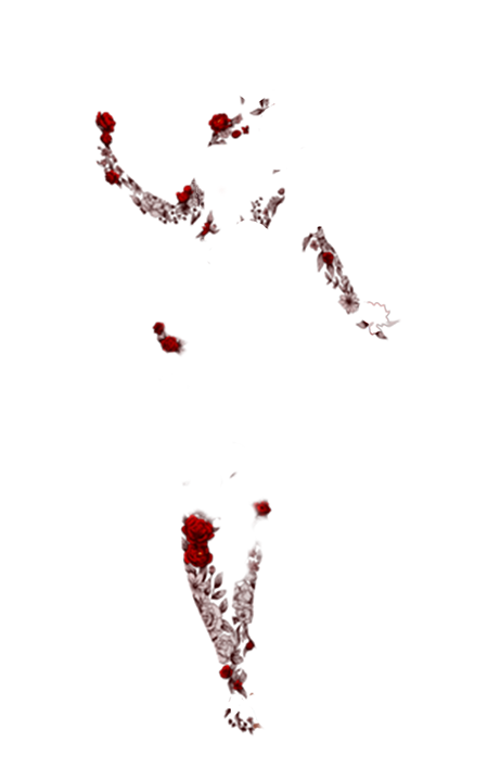 https://zupimages.net/up/26/43/zlja.png