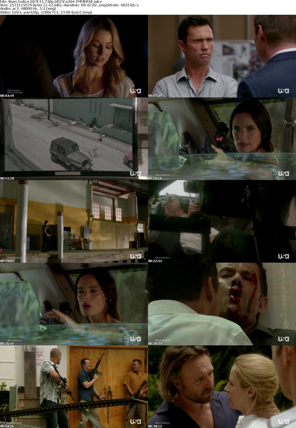 Burn Notice | Seasons 01-07 | S07E13 + 720p 1126438229