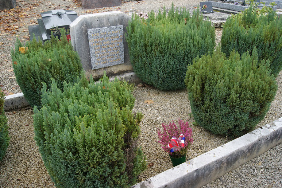 Monuments des tirailleurs, des Riceys (10) 1649882750